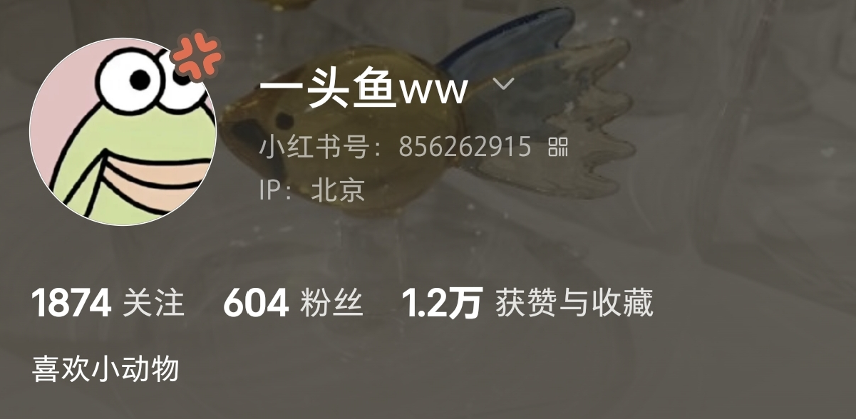 小红书戏剧垂直赛道账号冷启动运营